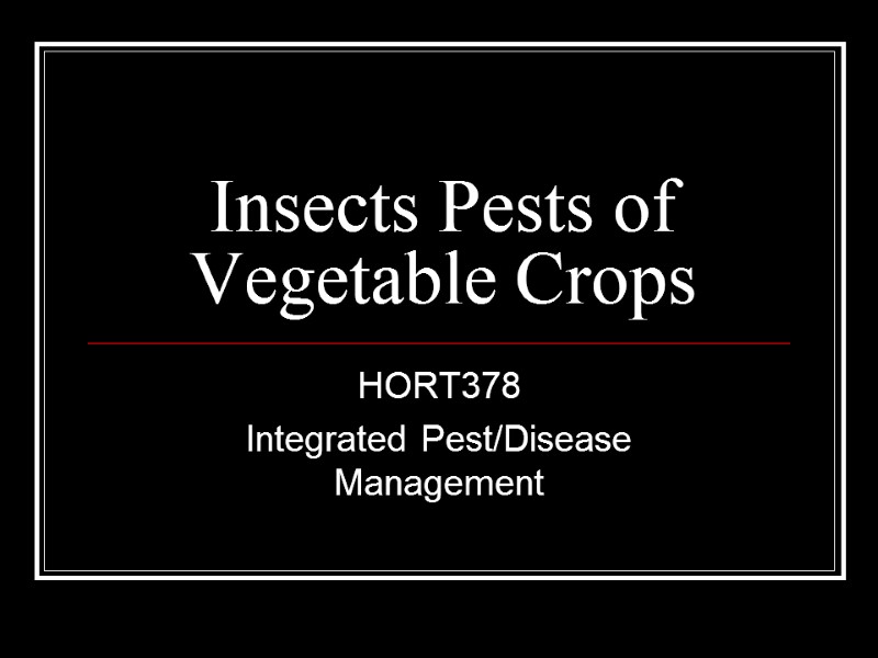 Insects Pests of Vegetable Crops HORT378 Integrated Pest/Disease Management